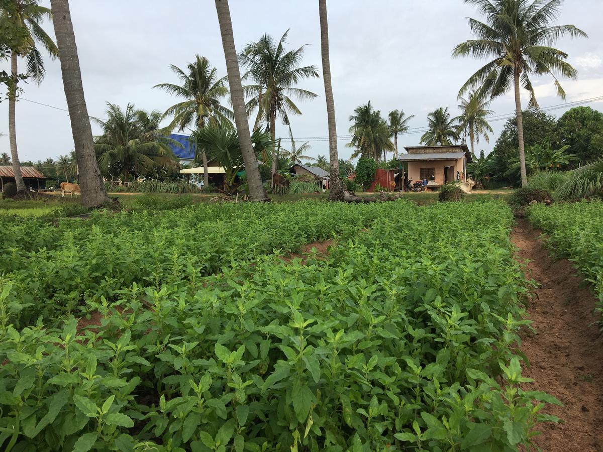 Green Life Cottage Sziemreap Kültér fotó